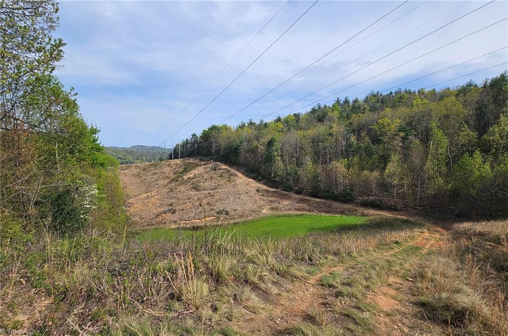 Off N Nc Highway 16, Millers Creek, North Carolina image 9