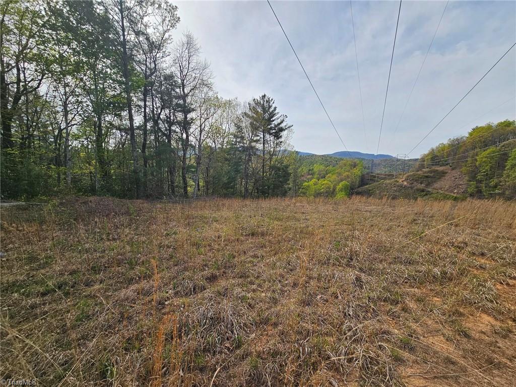 Off N Nc Highway 16, Millers Creek, North Carolina image 3