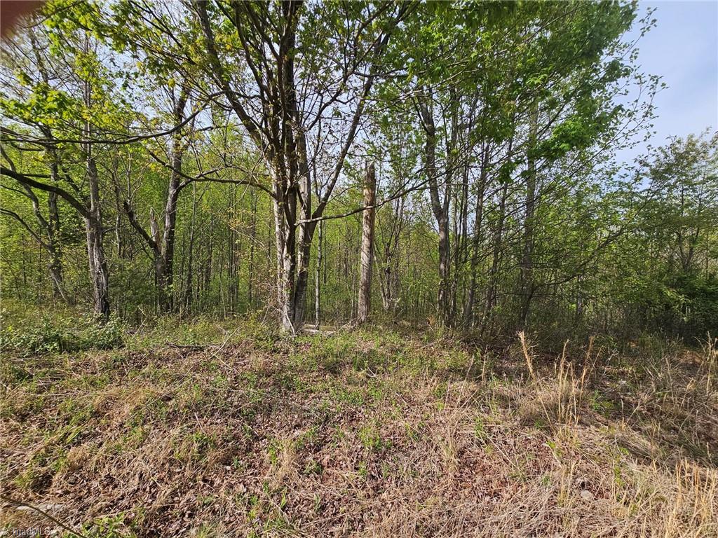 Off N Nc Highway 16, Millers Creek, North Carolina image 7