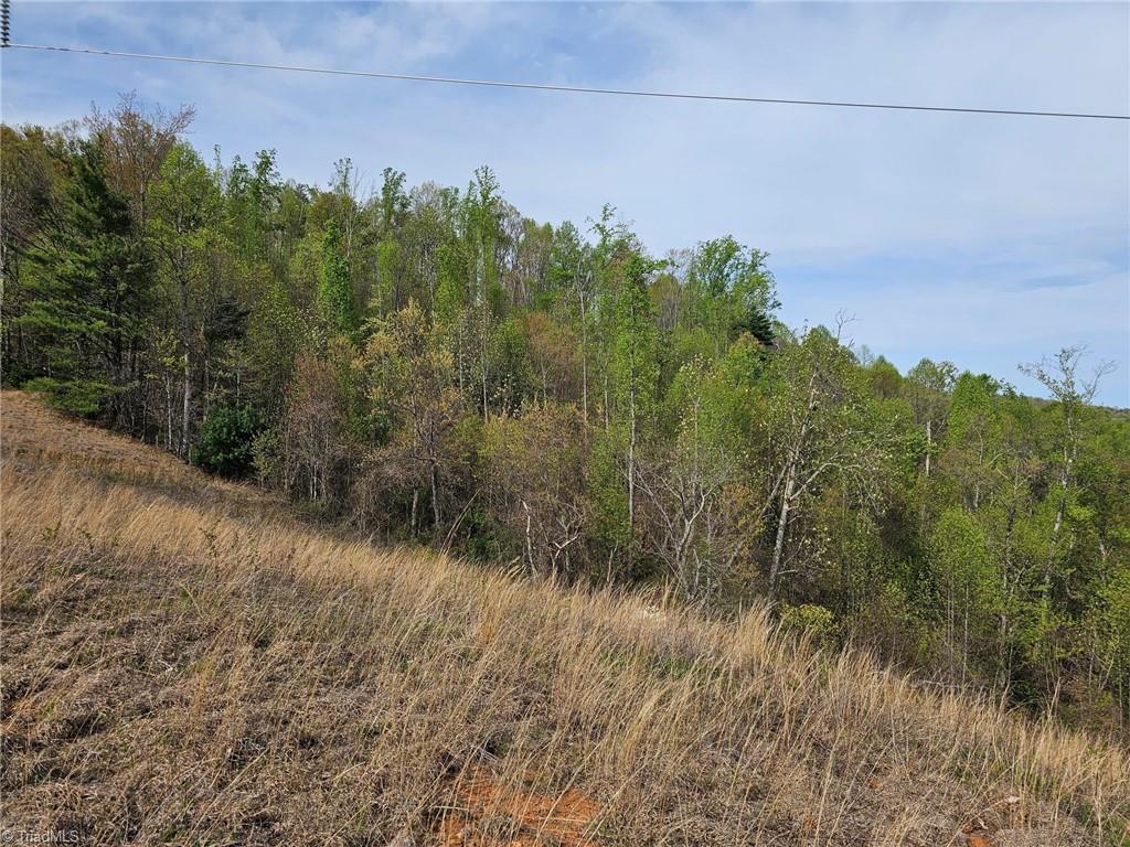 Off N Nc Highway 16, Millers Creek, North Carolina image 8