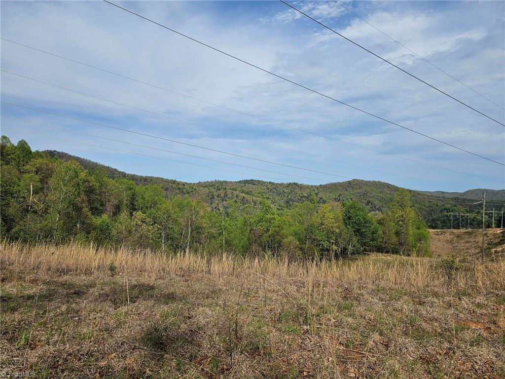 Off N Nc Highway 16, Millers Creek, North Carolina image 2