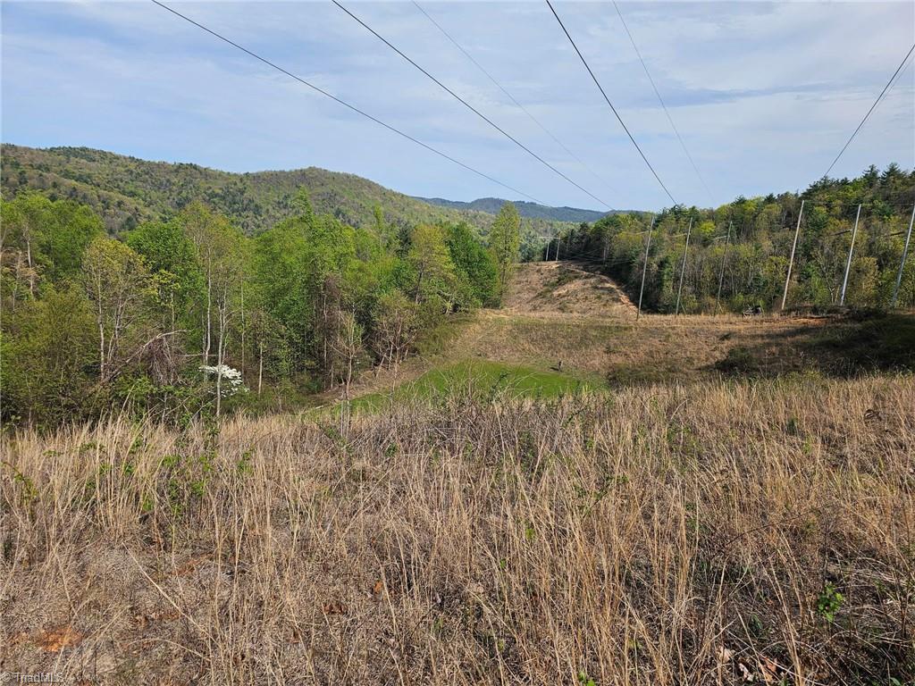 Off N Nc Highway 16, Millers Creek, North Carolina image 13