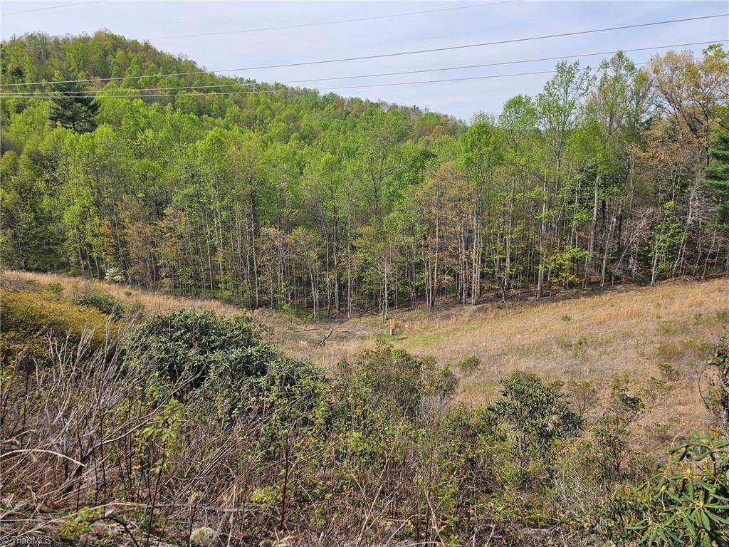 Off N Nc Highway 16, Millers Creek, North Carolina image 1