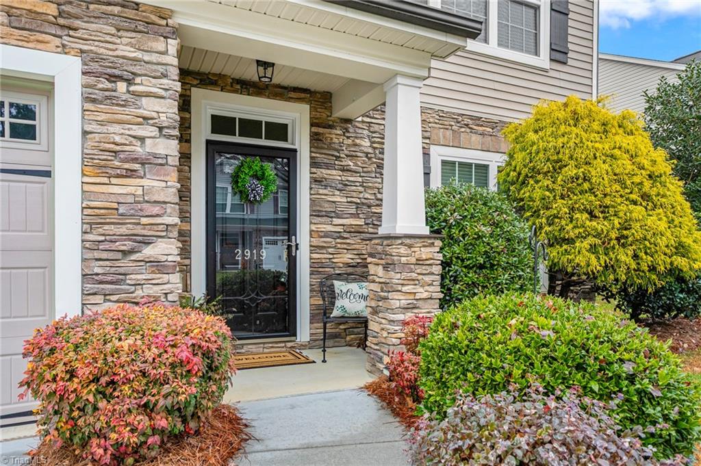 2919 Victoria Falls Drive