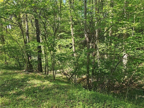 Vacant Land For Sale - 00 Rocky Lane<br/> Wilkesboro, NC 28697