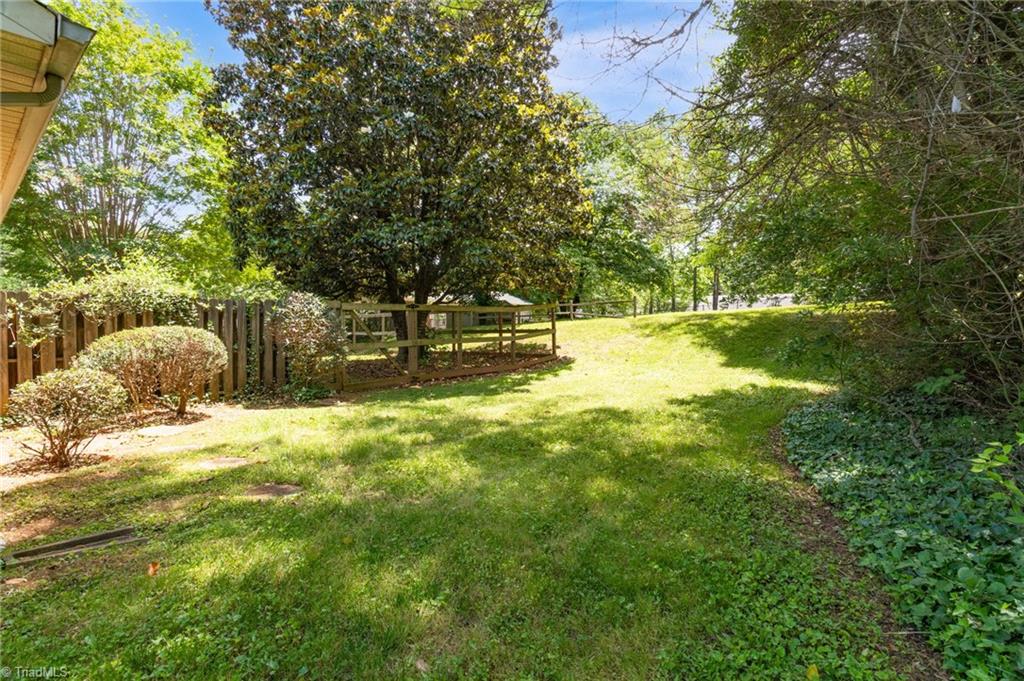 820 Big Tree Drive, Lewisville, North Carolina image 28