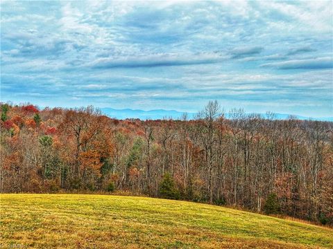 Vacant Land For Sale - Pearson Road<br/> Moravian Falls, NC 28654