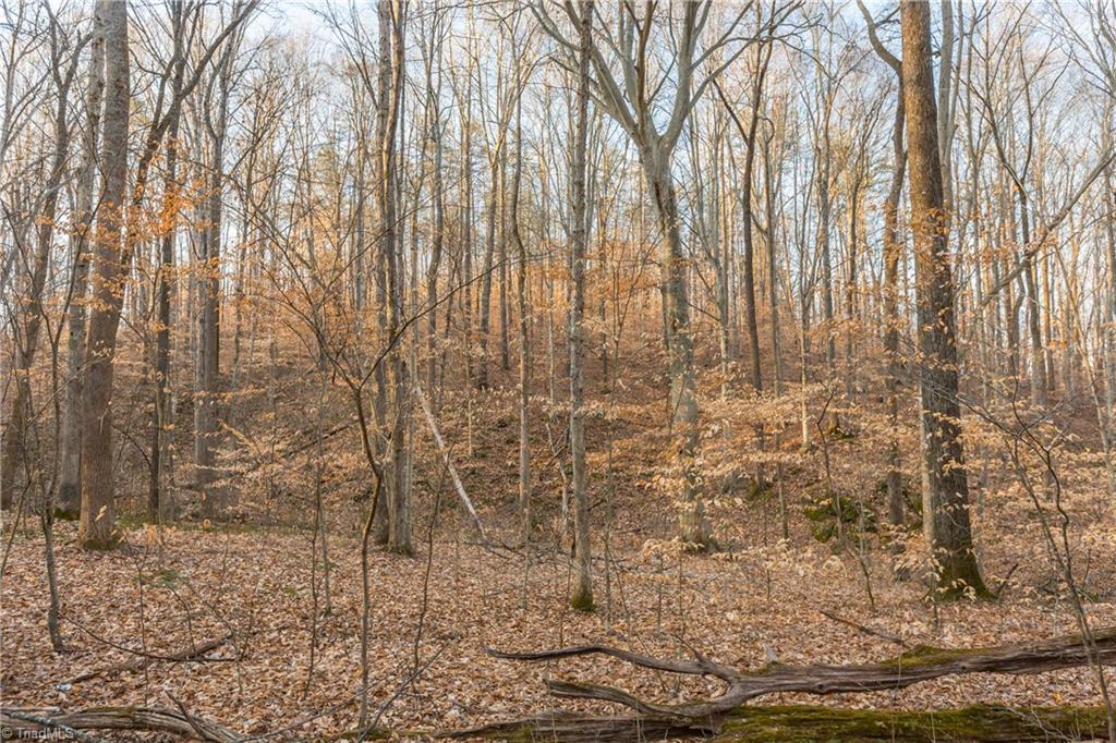 Van Hoy Road, Kernersville, North Carolina image 9