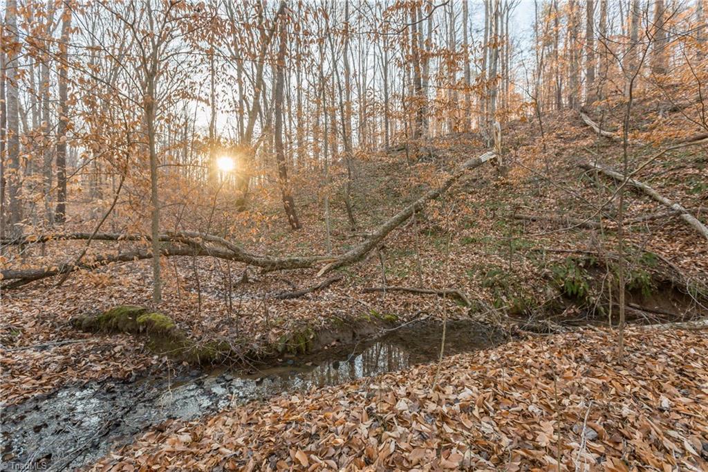 Van Hoy Road, Kernersville, North Carolina image 8