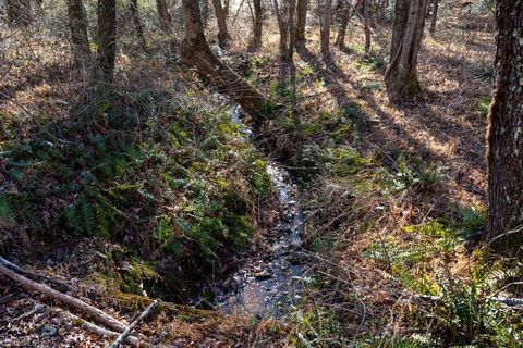 Vacant Land For Sale - LOT 6 Morosko Lane<br/> Pilot Mountain, NC 27041