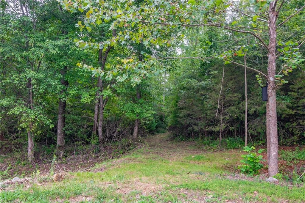 TBD Wyncrest Terrace, Mount Airy, North Carolina image 4