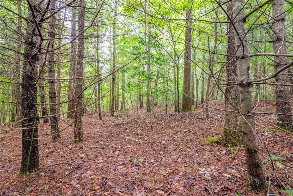 TBD Wyncrest Terrace, Mount Airy, North Carolina image 7