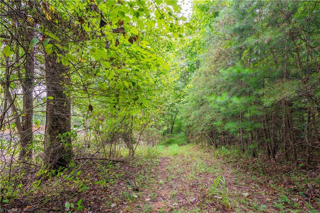 TBD Wyncrest Terrace, Mount Airy, North Carolina image 8