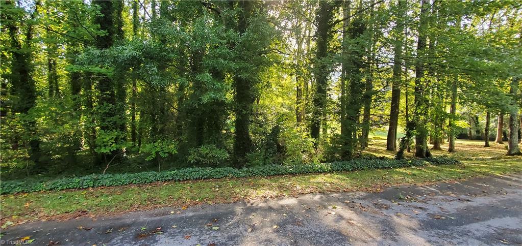Troxaway Court, Lewisville, North Carolina image 1