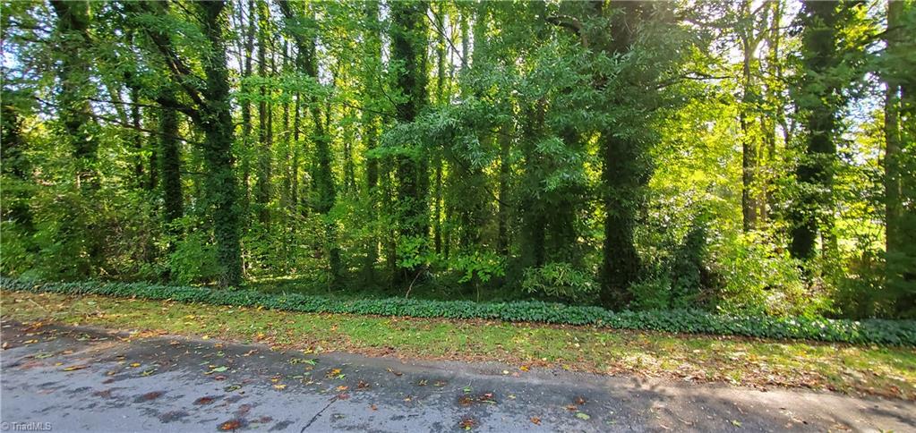 Troxaway Court, Lewisville, North Carolina image 2