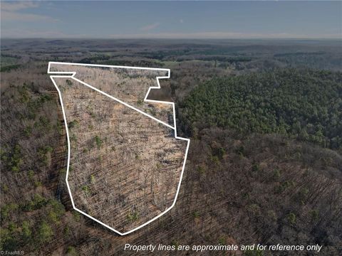 Vacant Land For Sale - 000 Eagles Field Road<br/> Randolph County, Asheboro, NC 27205