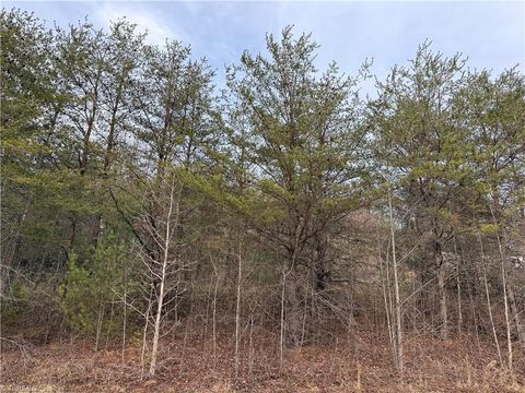 Vacant Land For Sale - TBD Mount Zion Road<br/> Ferguson, NC 28624