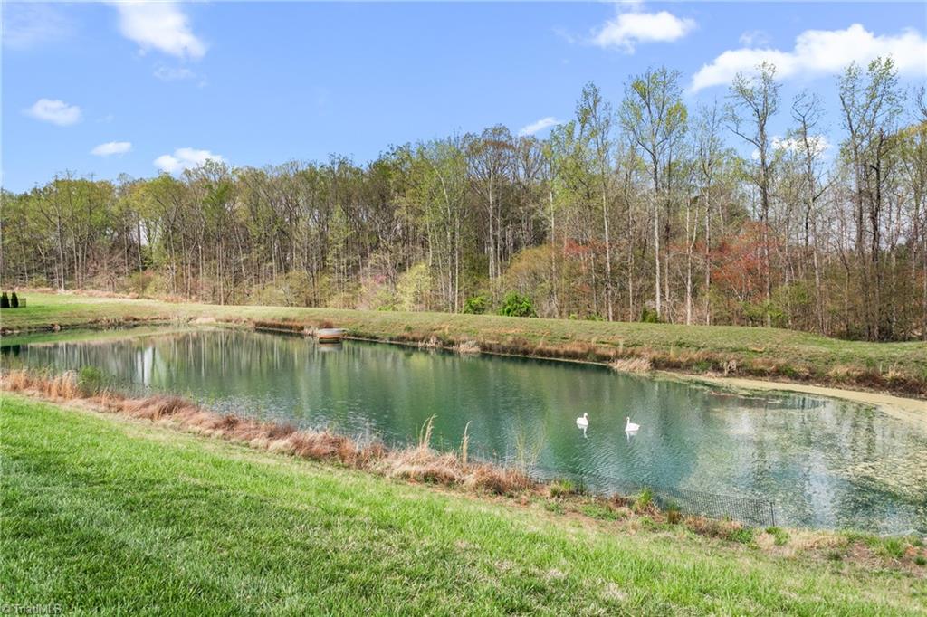 667 Ashley Woods Drive, Gibsonville, North Carolina image 8