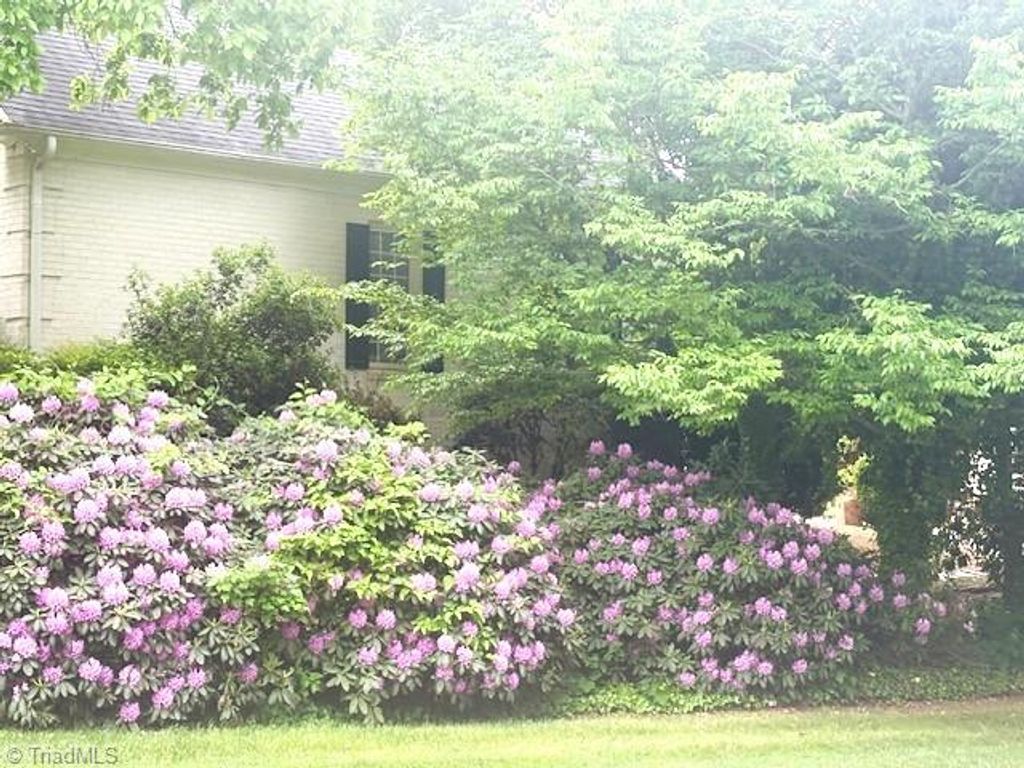 Photo of 2009 Needleleaf Lane, Greensboro, NC 27410 (MLS # 1215899)