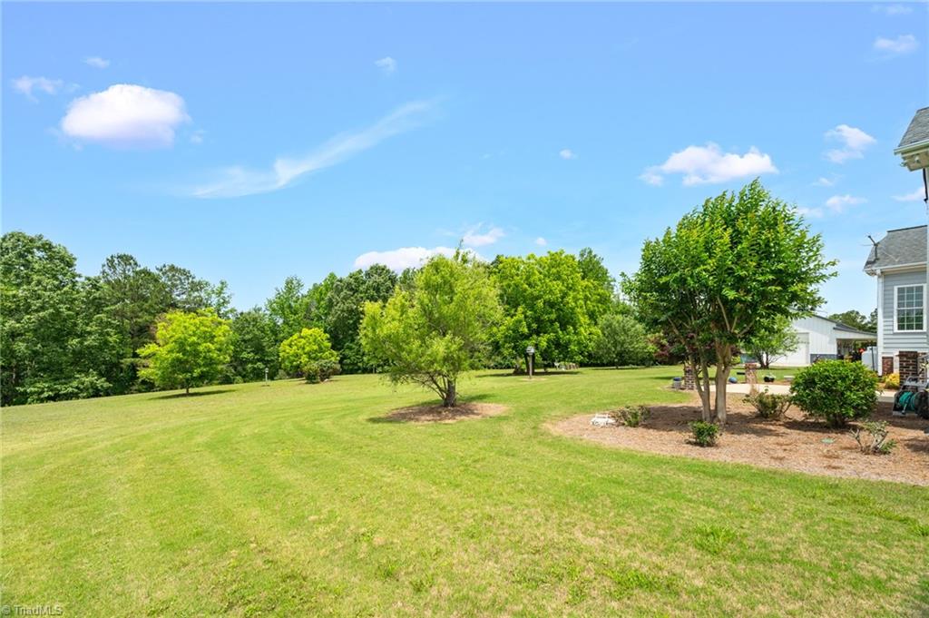 14393 Nc Highway 96 Hwy, Zebulon, North Carolina image 38