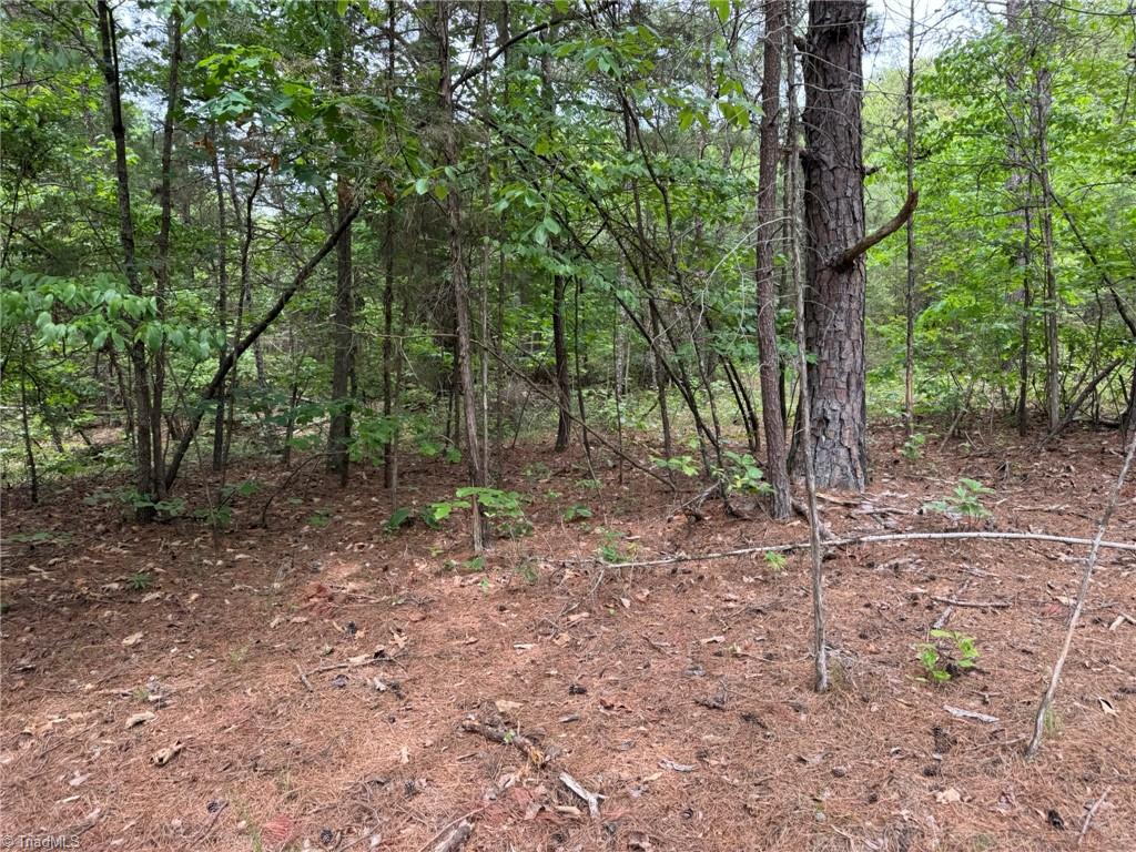 2154 Stone Mountain Road, Stoneville, North Carolina image 12