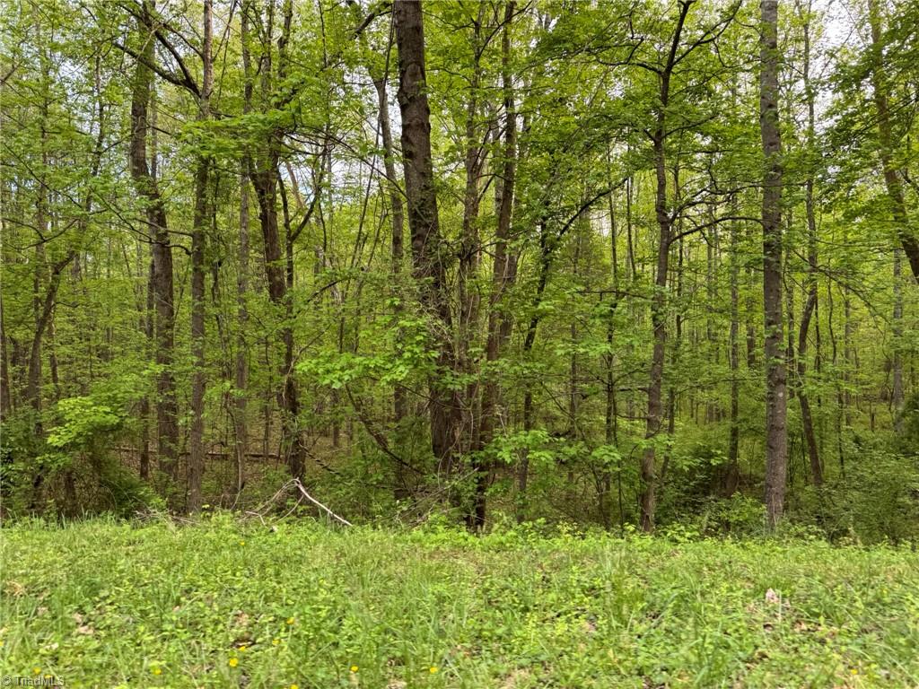 2154 Stone Mountain Road, Stoneville, North Carolina image 29