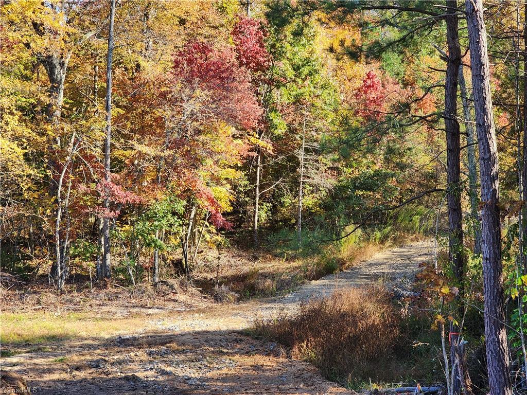 2110 Brown Mountain Road, Pilot Mountain, North Carolina image 18