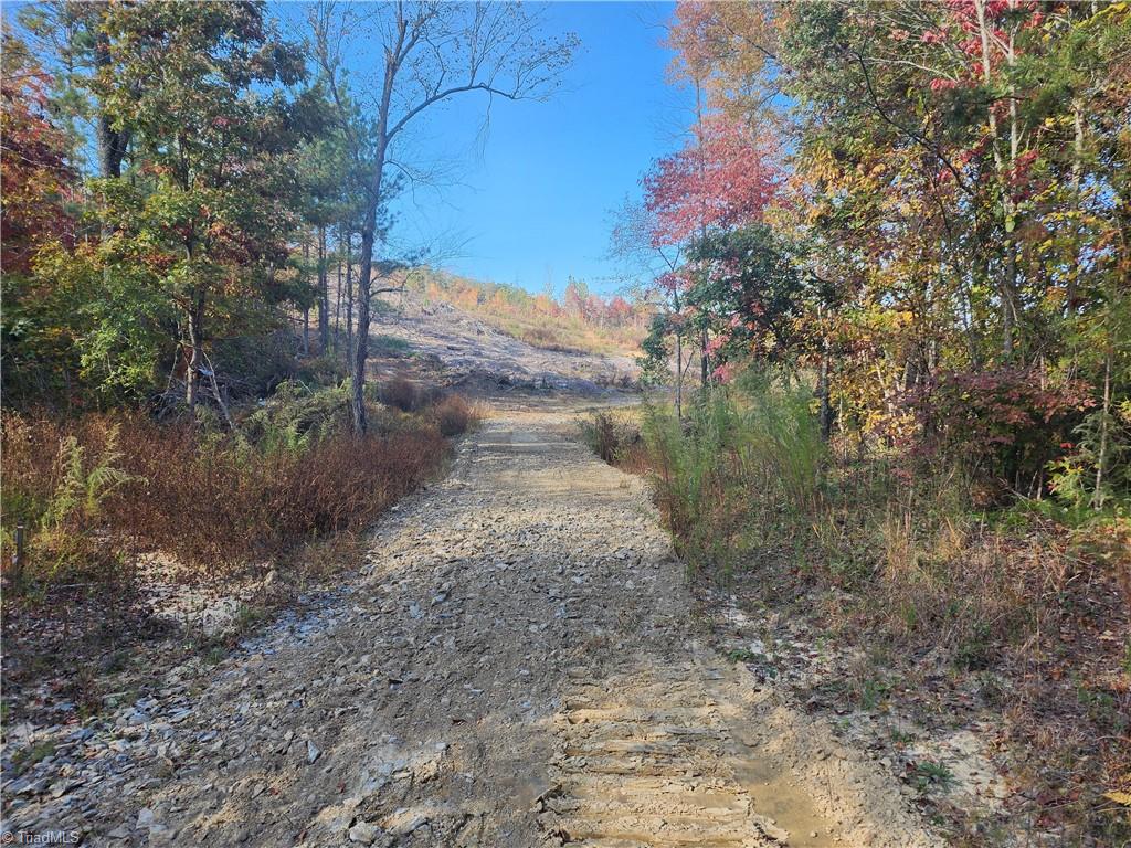 2110 Brown Mountain Road, Pilot Mountain, North Carolina image 8