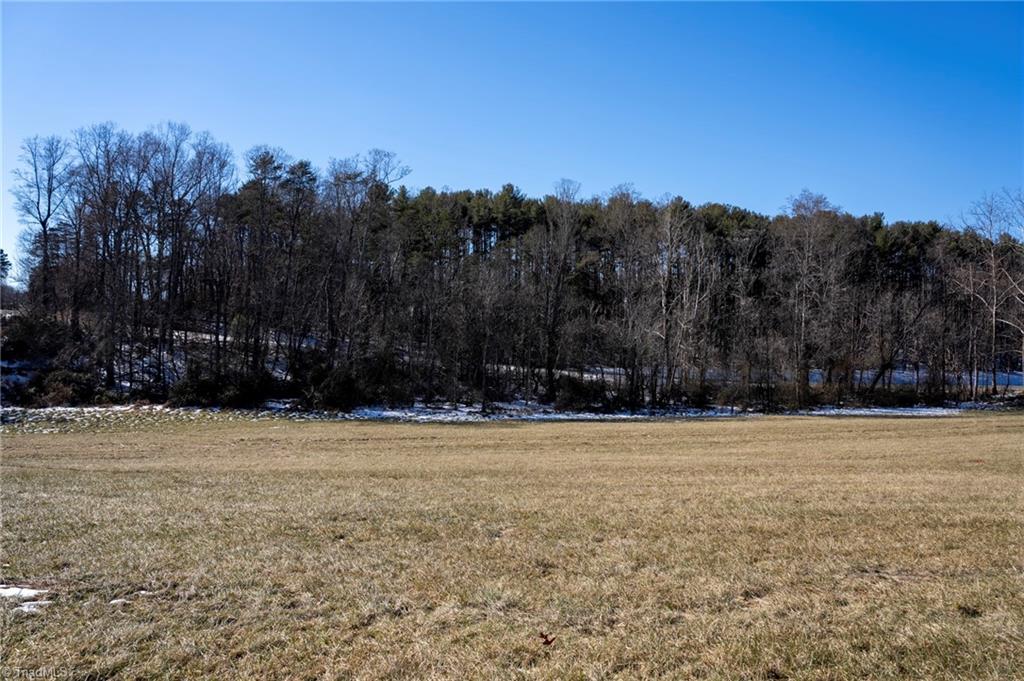 Lot 2 Jessup Grove Church Road, Pilot Mountain, North Carolina image 10