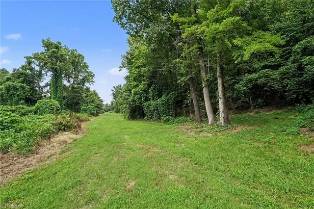 543 Bald Hill Loop Road, photo 5 of 30