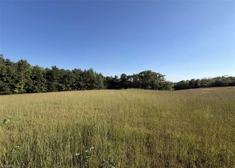 Vacant Land For Sale - Soapstone Mountain Road<br/> Randolph County, Liberty, NC 27298