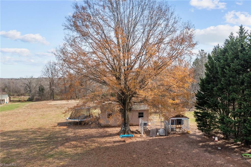 Photo 13 of 48 of 738 Young Road house