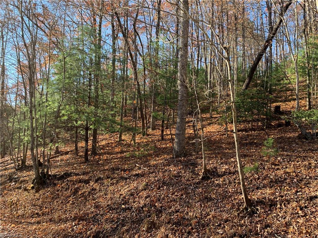 TBD (Lot 1) Dugger Firetower Road