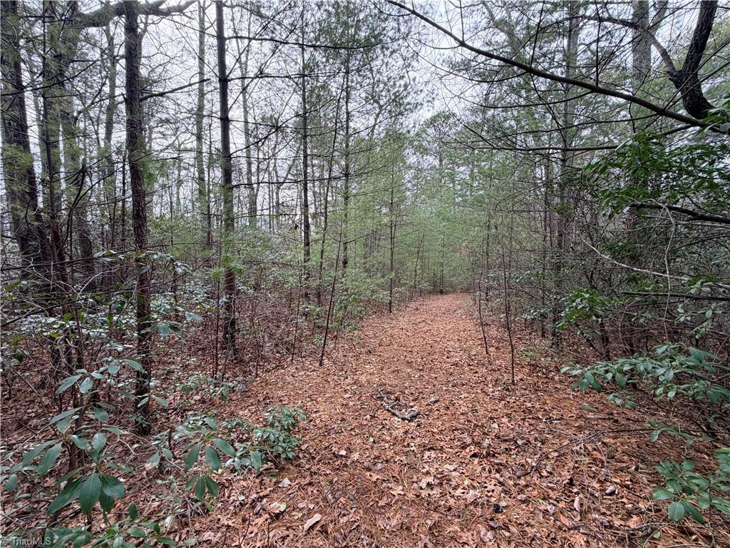 TBD (Lot 1) Dugger Firetower Road