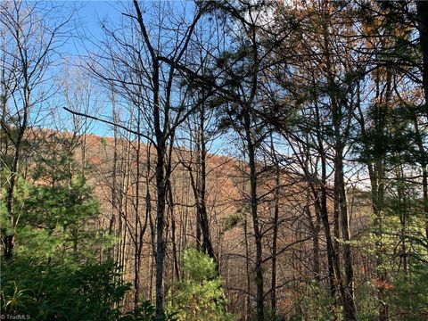 Vacant Land For Sale - TBD (LOT 1) Dugger Firetower Road<br/> Lenoir, NC 28645