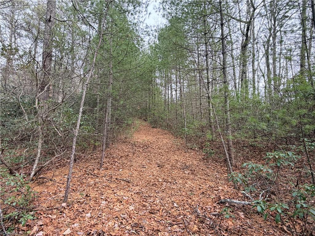 TBD (Lot 1) Dugger Firetower Road