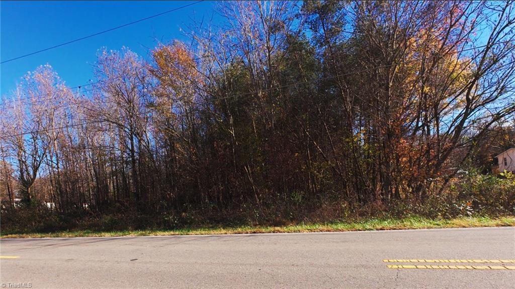 Virginia Street, Eden, North Carolina image 19