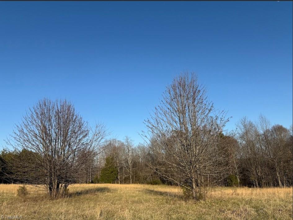 Track 1 Garner Road, Yadkinville, North Carolina image 3