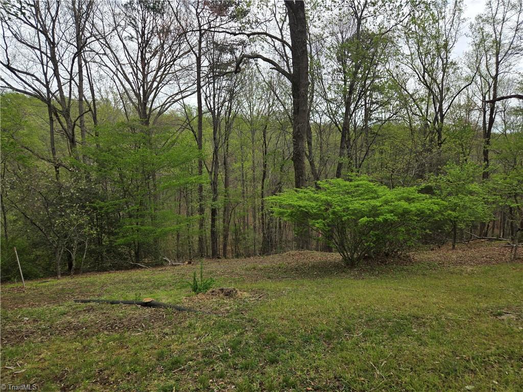 1157 Wood Road, Danbury, North Carolina image 35