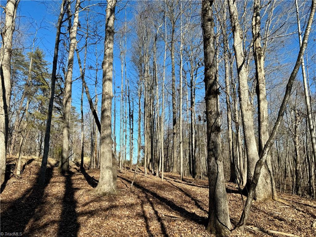 4056 Rolling Hill Drive, Tobaccoville, North Carolina image 12