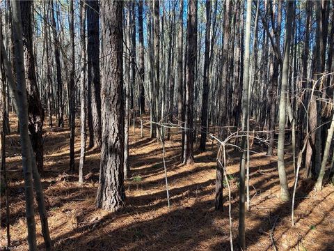 Vacant Land For Sale - 00 Nc Highway 134<br/> Star, NC 27356