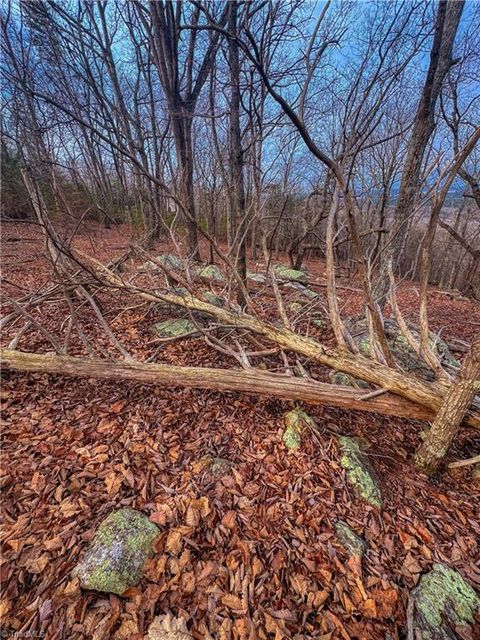 Vacant Land For Sale - 2243 Sierra Trace Road<br/> Denton, NC 27239