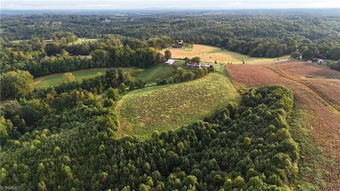 Vacant Land For Sale - 00 Turkey Ford Road<br/> Surry County, Dobson, NC 27017