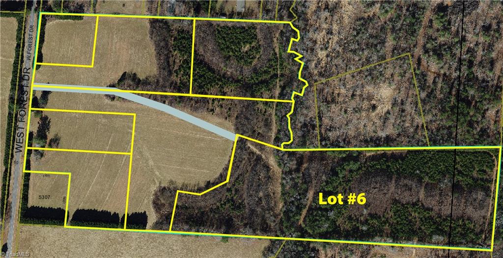 Lot 6- TBD W Forest Drive, State Road, North Carolina image 1