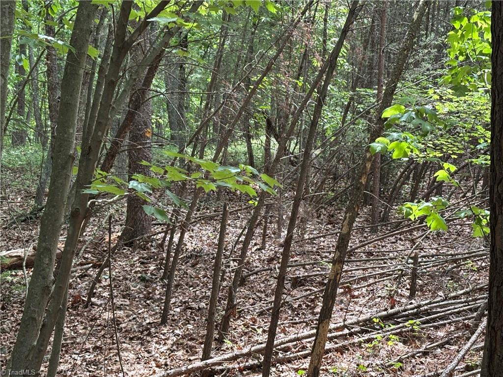 00 Caudle Road, Pinnacle, North Carolina image 21