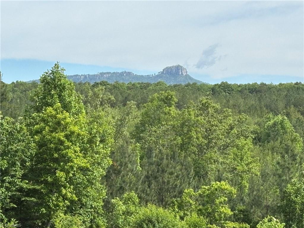 00 Caudle Road, Pinnacle, North Carolina image 39