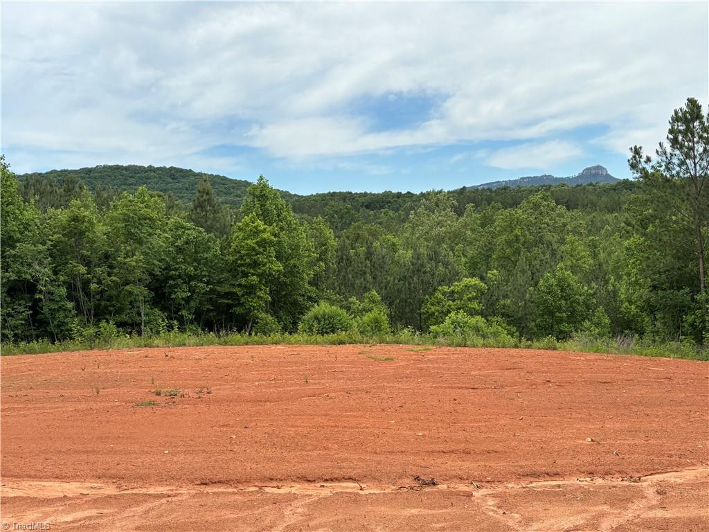 00 Caudle Road, Pinnacle, North Carolina image 7