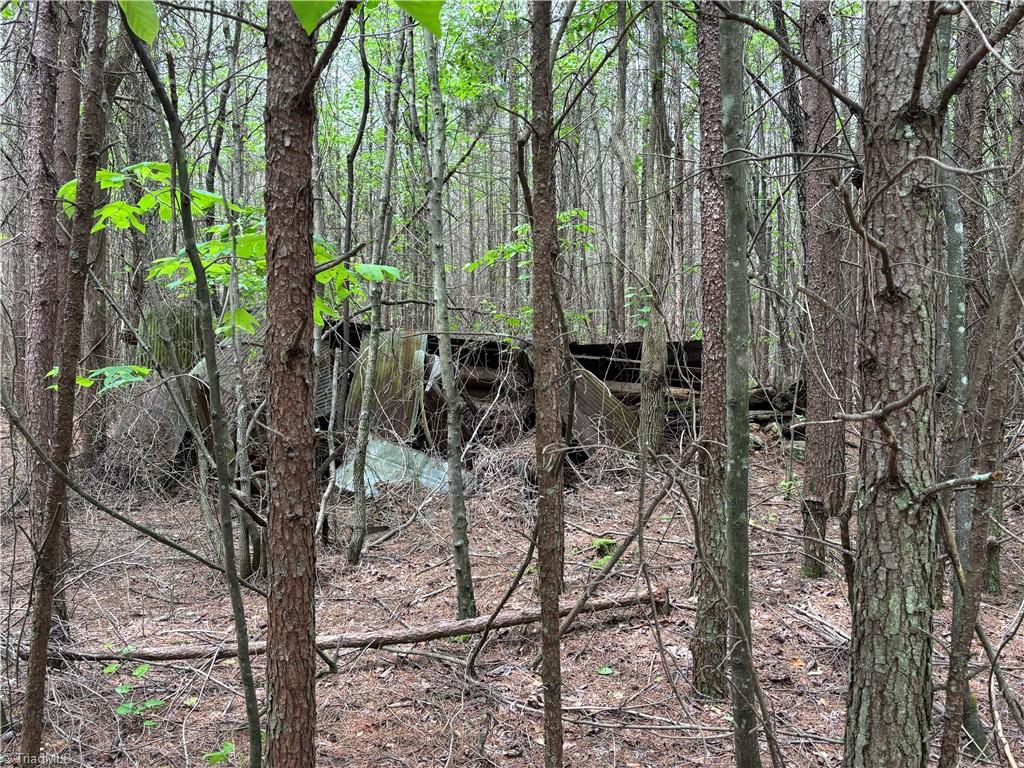 00 Caudle Road, Pinnacle, North Carolina image 14