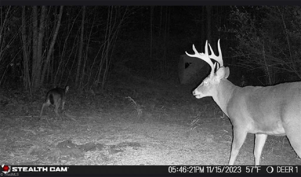 00 Caudle Road, Pinnacle, North Carolina image 42