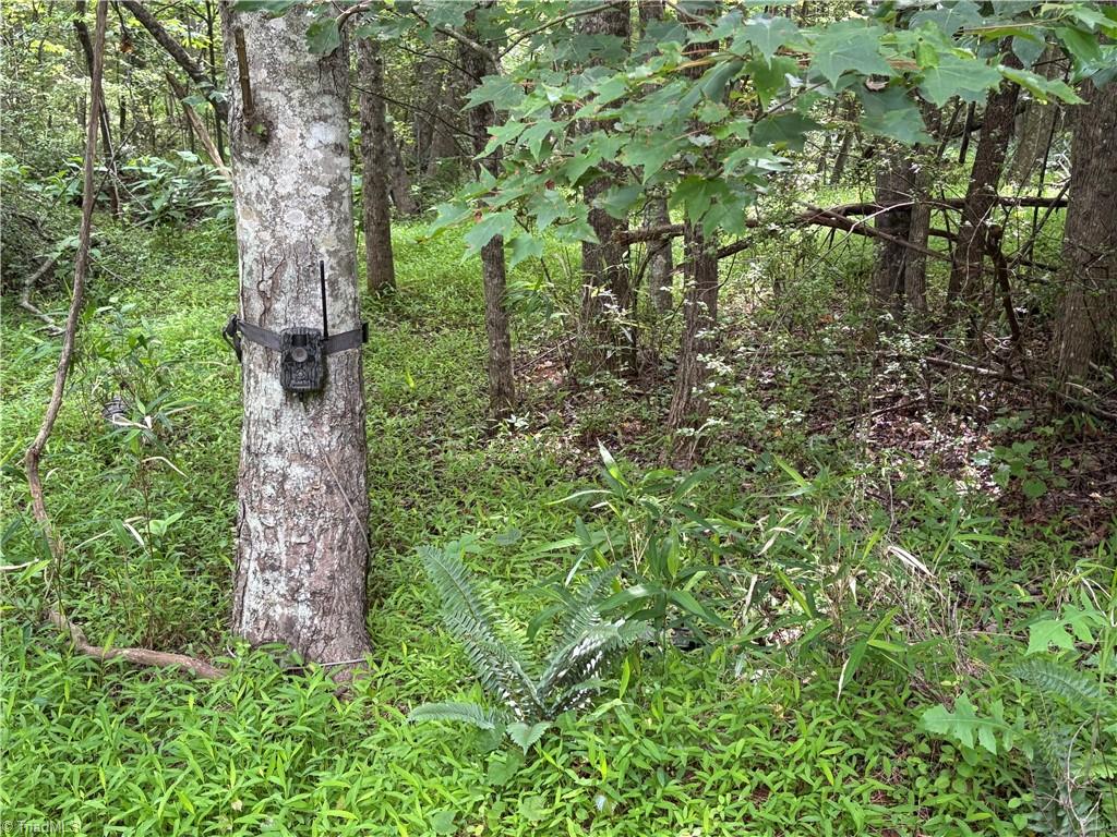 00 Caudle Road, Pinnacle, North Carolina image 32
